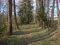 Nejz&aacute;padn�j&scaron;&iacute; bod �R