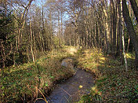 Nejz&aacute;padn�j&scaron;&iacute; bod �R