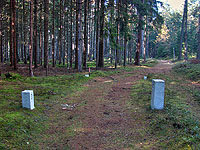 Nov&yacute; ��&aacute;r