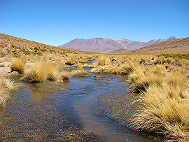 jedna z �&iacute;�ek, kterou bylo t�eba p�ebrodit