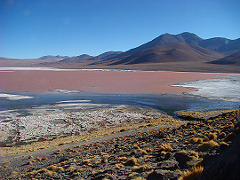 v�hled na Rio z lanovky